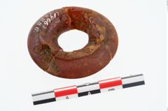 Foto von Bernsteinringperle (NHMW-PRAE-025886)